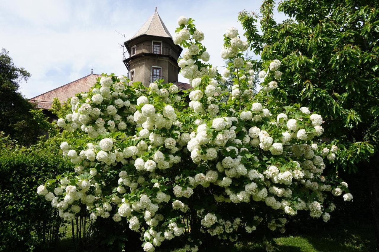 Chateau Du Vigny - Maison D'Hotes Saint-Michel-de-Maurienne Ngoại thất bức ảnh